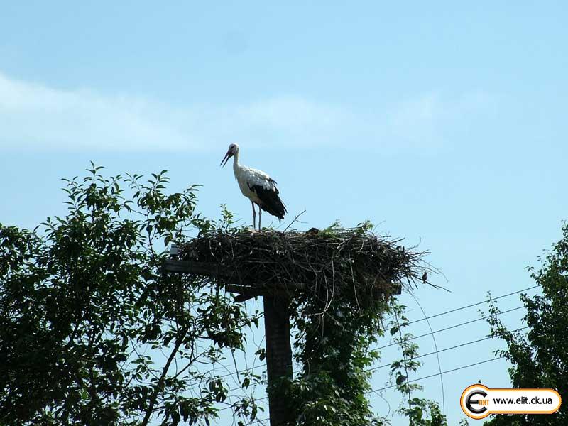 Чигиринщина. с. Суботов