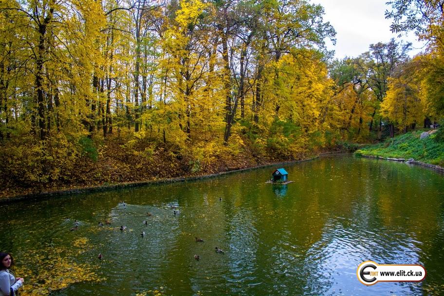 Дендропарк Александрия