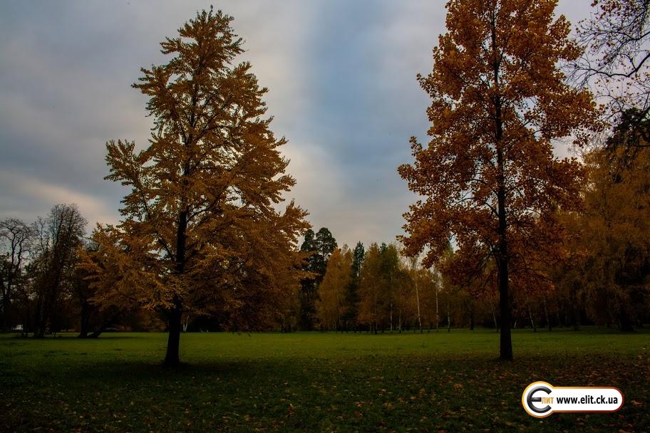 Дендропарк Александрия. г. Белая Церковь