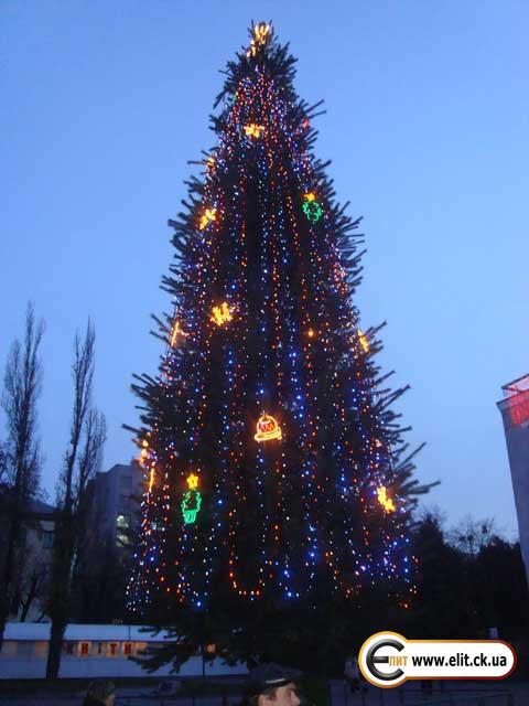 Новогодняя елка г. Черкассы
