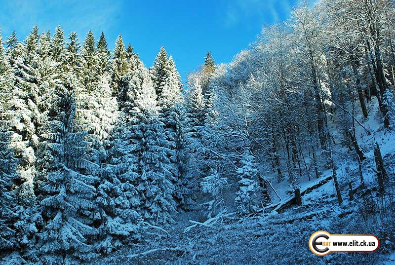 Зимние Карпаты