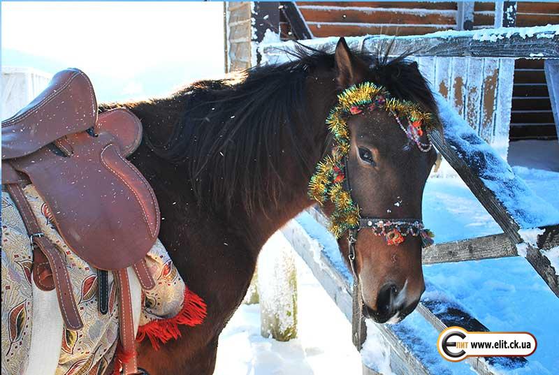 Зимние Карпаты