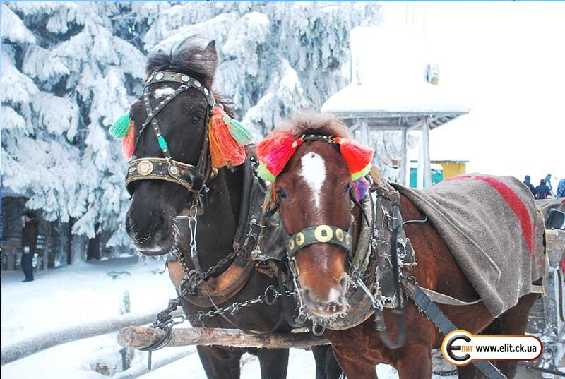 Зимние Карпаты