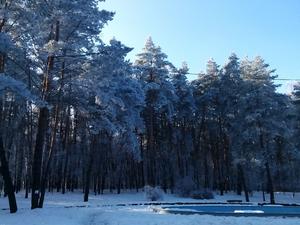 г. Черкассы, Парк "Сосновый бор"