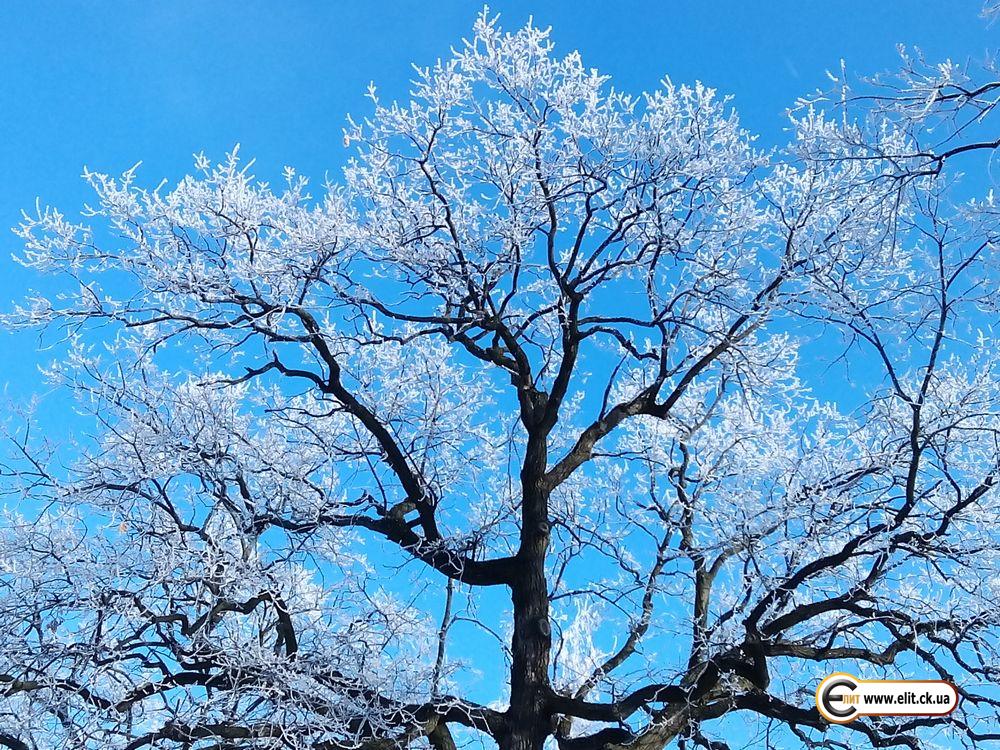 г. Черкассы, Парк "Сосновый бор"