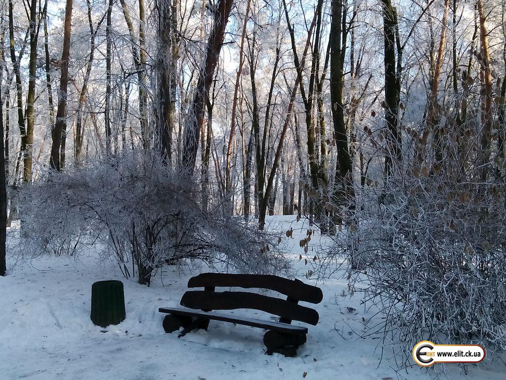 г. Черкассы, Парк "Сосновый бор"