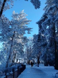 г. Черкассы, Парк "Сосновый бор"