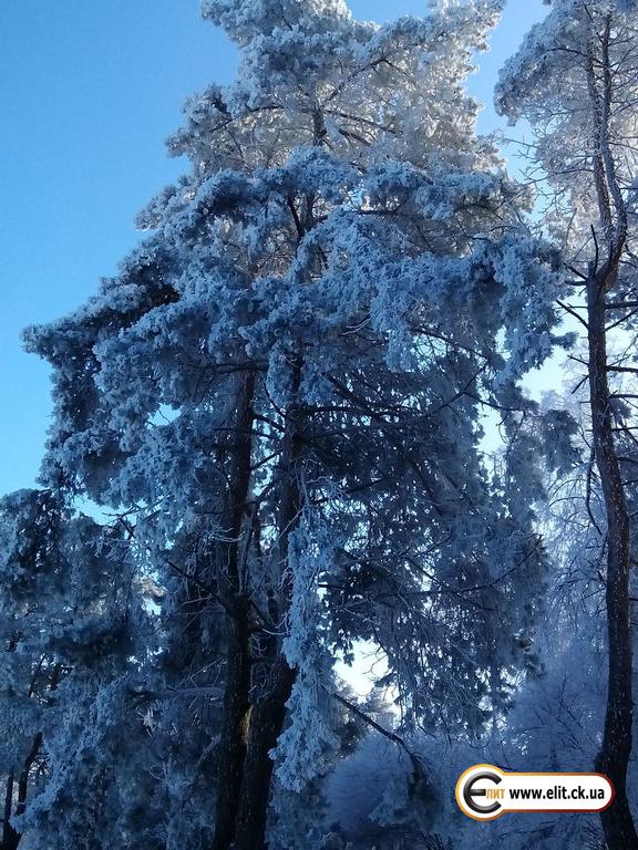 г. Черкассы, Парк "Сосновый бор"