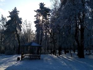 г. Черкассы, Парк "Сосновый бор"