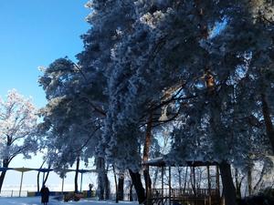 г. Черкассы, Парк "Сосновый бор"