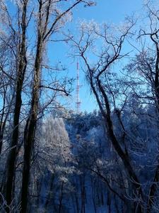 г. Черкассы, Парк "Сосновый бор"