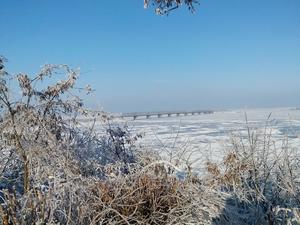 г. Черкассы, Парк "Сосновый бор"